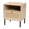 Caterina Wood And Natural Rattan 1 Door End Table Natural Brown/Black - Baxton Studio