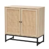 Caterina Wood And Natural Rattan 2 Door Storage Cabinet Natural Brown/Black - Baxton Studio