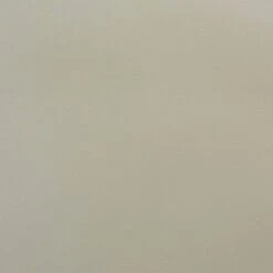 4pc Rae Plastic Stackable Dining Chair Set - Baxton Studio -Urban Dwell Gear Outlet Store GUEST 8ab87bac 3911 49c7 87d7 dc24c5c4ad4d